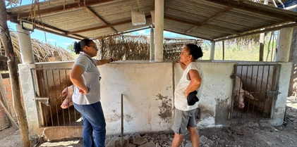 Quintal Produtivo - 06