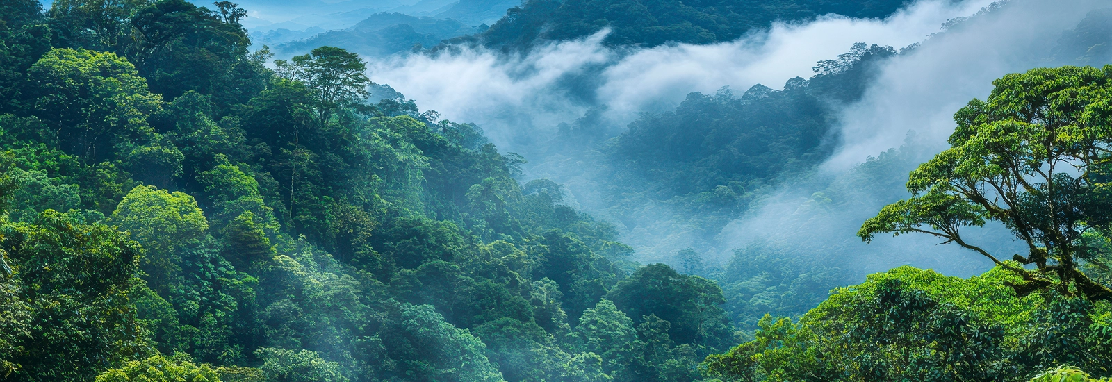 Redução nas emissões de carbono sem usar mais gás natural